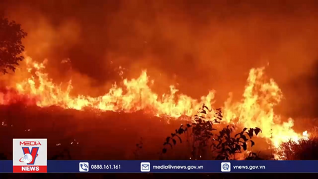 Cháy rừng gia tăng đột biến ở Brazil