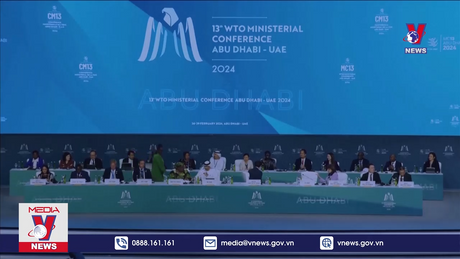 Bản tin thời sự 11h ngày 02/3/2024