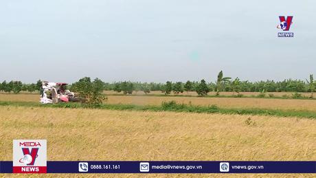 Bản tin thời sự 20h ngày 03/3/2024