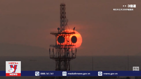 Hiện tượng 'gấu trúc hoàng hôn' kỳ thú tại Nhật Bản