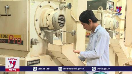 Thủ tướng chỉ đạo đẩy mạnh sản xuất, xuất khẩu lúa gạo 