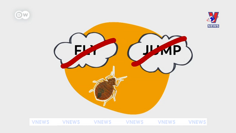 Tạp chí toàn cầu số 887 ngày 05/3/2024