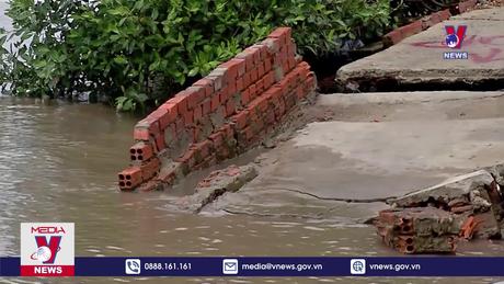 Cà Mau xây dựng đề án ứng phó với sạt lở
