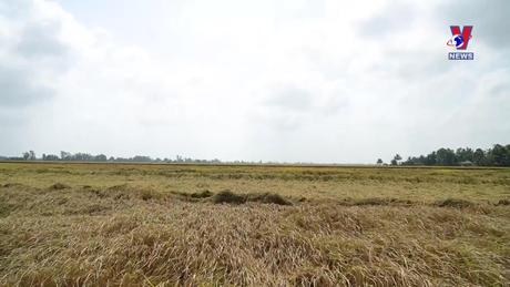 Nhật trình kinh tế ngày 6/3/2024