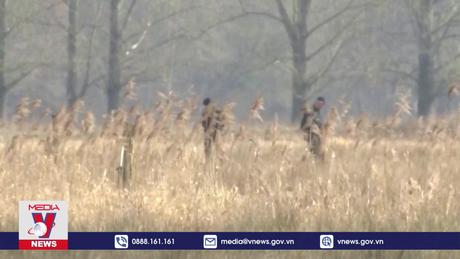 Nhà máy Tesla ở Đức tạm dừng sản xuất