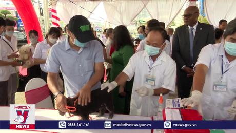 Nguy cơ từ việc tiêm phòng vắc xin bệnh dại chó mèo đạt tỷ lệ thấp