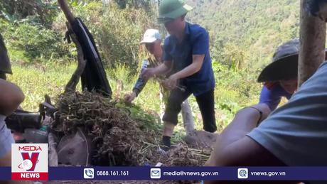 Lai Châu phá nhổ hơn 3.000 cây thuốc phiện giữa rừng sâu