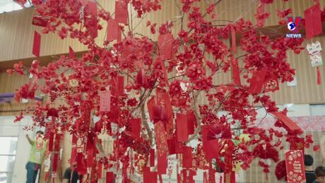 Nhịp cầu cộng đồng: Sinh viên Việt Nam tăng cường tìm hiểu thị trường lao động tại Singapore