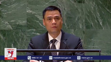 Việt Nam kêu gọi ngừng bắn và giải quyết khủng hoảng nhân đạo tại Gaza