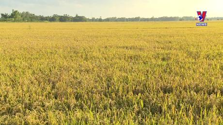 Nhật trình kinh tế ngày 07/03/2024