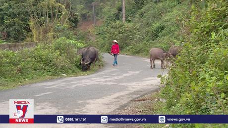 Chủ động phòng chống cháy rừng tại Vườn quốc Gia Ba Vì