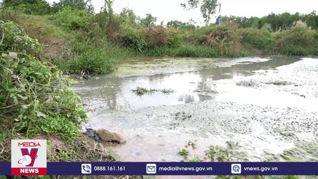 Doanh nghiệp xả thải gây ô nhiễm môi trường tại Tây Ninh