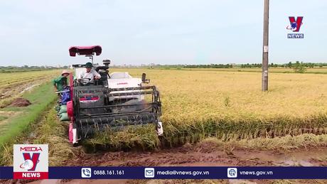 Bản tin thời sự 8h ngày 07/3/2024