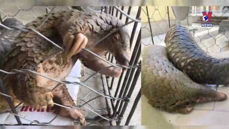 Đường dây nóng 389 ngày 07/03/2024