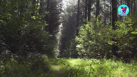 Tương Lai Xanh ngày 07/03/2024