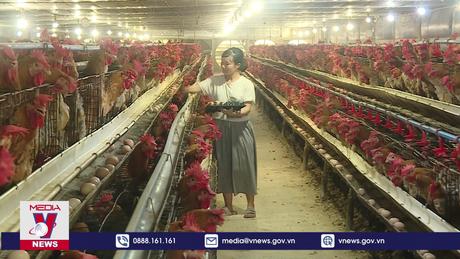 Bản lĩnh phụ nữ trong phát triển kinh tế tập thể