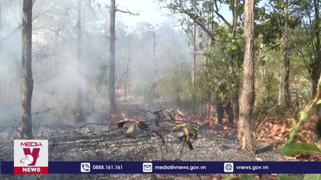Đắk Lắk cấp bách phòng chống cháy rừng