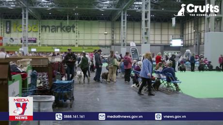 Tưng bưng hội thi cún cưng tại Anh