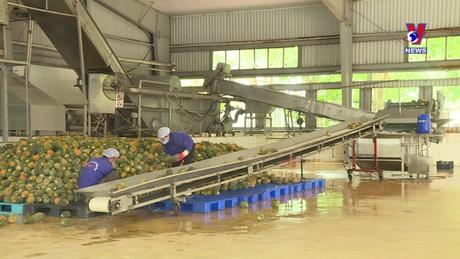 Bản tin tiếng Tây Ban Nha ngày 11/3/2024