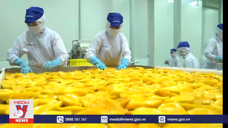 Nhộn nhịp xuất khẩu nông lâm sản đầu năm