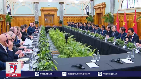 Thủ tướng Phạm Minh Chính hội đàm Thủ tướng New Zealand