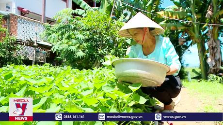 Từng bước thực hiện hóa Bảo hiểm Y tế toàn dân