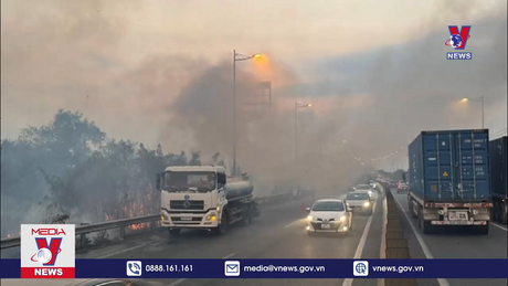 Bản tin Thời sự 11h ngày 13/3/2024