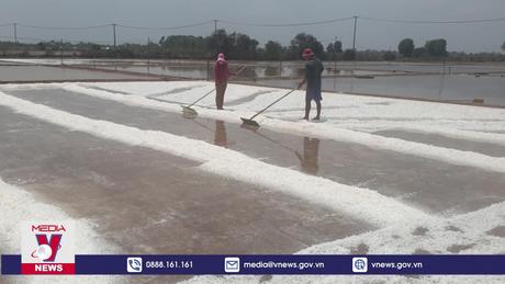 Làng nghề làm muối truyền thống ở Cà Mau vào mùa thu hoạch