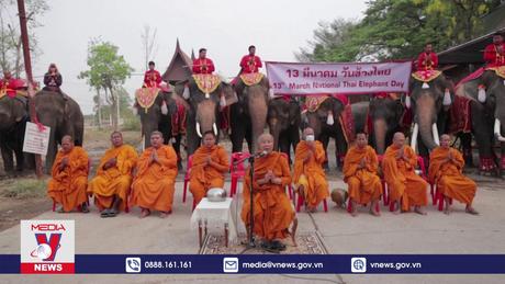 Độc đáo Ngày Voi quốc gia ở Thái Lan