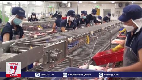 Asianinsiders nhận định nền kinh tế Việt Nam đang chuyển biến mạnh mẽ