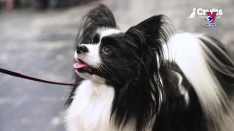 Thú vị năm châu ngày 14/3/2024