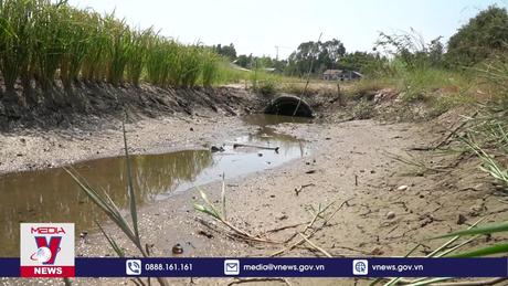 Nhiều địa phương ở Đồng Tháp có thể bị ảnh hưởng bởi hạn, mặn