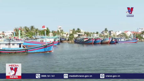 Bình Định làm tốt công tác chống khai thác IUU 