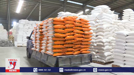 Mở rộng thị trường và đa dạng mặt hàng gạo xuất khẩu