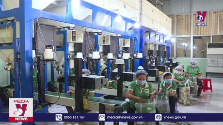 Bản tin thời sự 8h ngày 16/3/2024