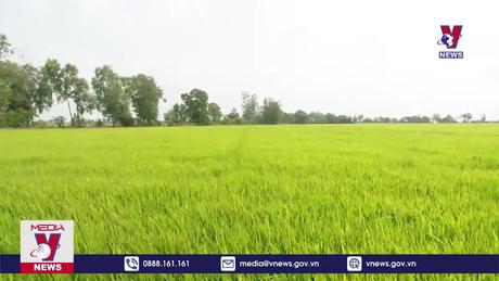 Bạc Liêu: Linh hoạt, chủ động trong phòng chống hạn, mặn 