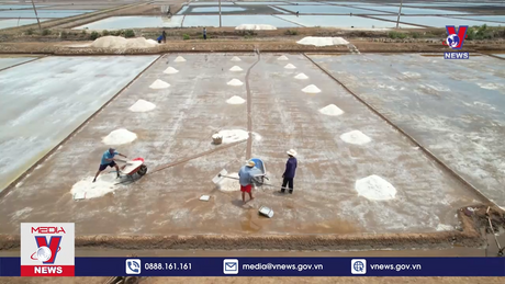 Bạc Liêu quan tâm phát triển bền vững nghề muối 