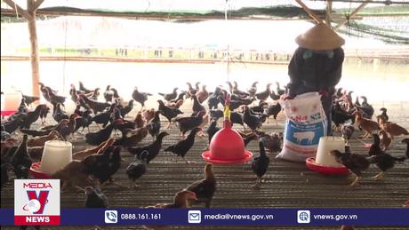 Đề xuất bãi bỏ quy định gây khó cho chăn nuôi