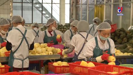 Bản tin tiếng Anh ngày 19/3/2024