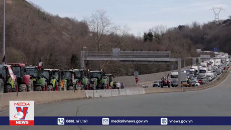 EU áp thuế nhập khẩu ngũ cốc từ Nga và Belarus