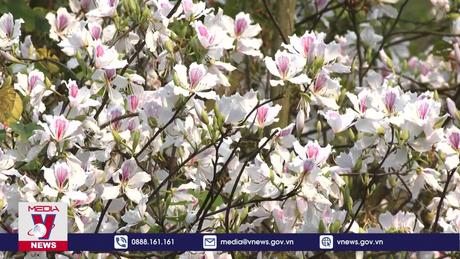 Lan tỏa rộng rãi về Năm Du lịch quốc gia 2024