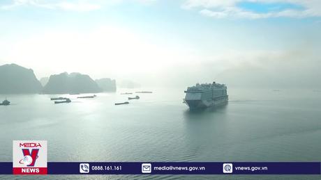 Du lịch tàu biển hút khách