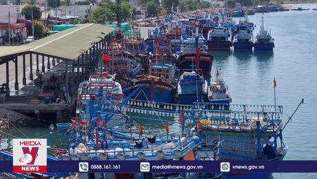 Ninh Thuận thực hiện tốt công tác chống khai thác IUU