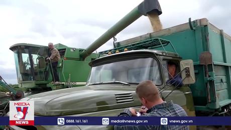 EU hạn chế ngũ cốc nhập khẩu từ Ukraine