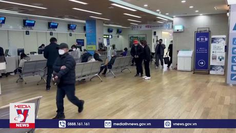 Hàn Quốc đình chỉ giấy phép hành nghề 5.000 bác sĩ