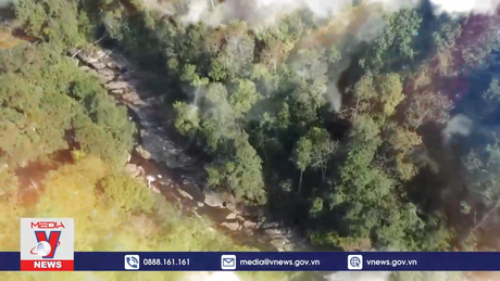 Nỗ lực giữ màu xanh cho rừng