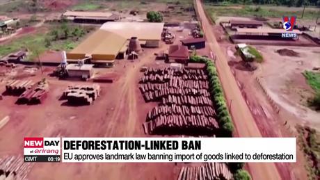 Tương Lai Xanh ngày 21/3/2024