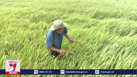 Trà Vinh ứng phó hiệu quả với hạn, mặn