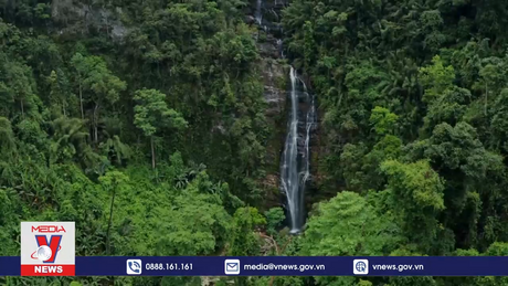 Trồng rừng bền vững