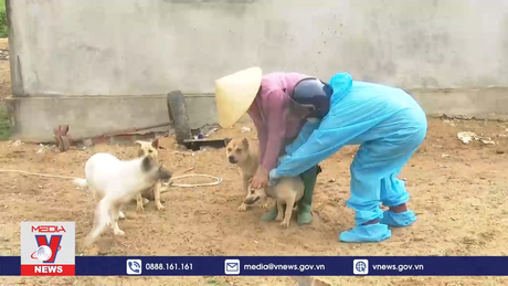 Quảng Bình quyết liệt phòng, chống bệnh dại